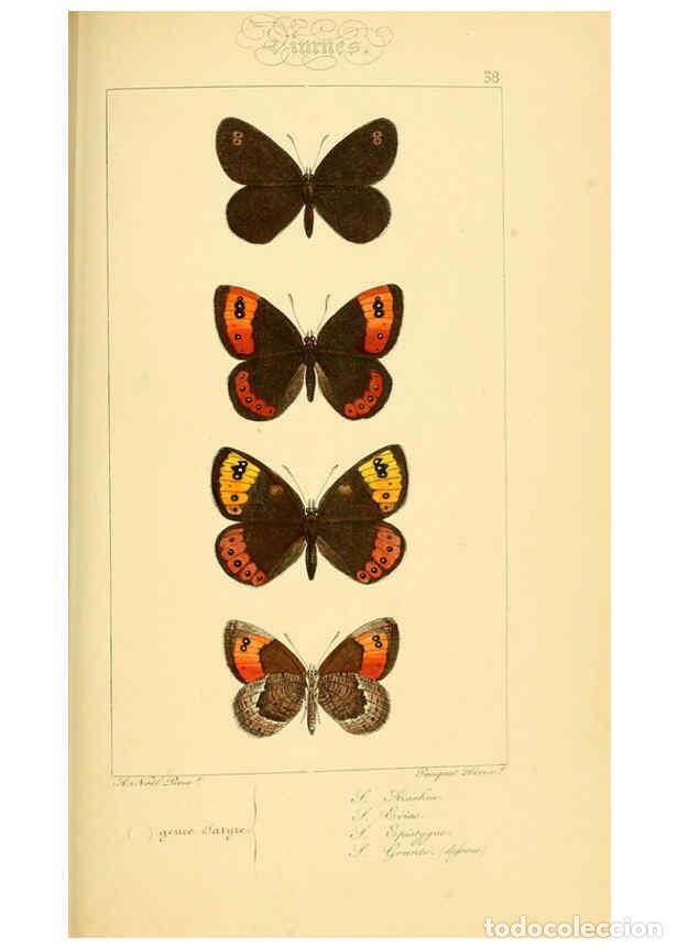 Collectionnisme de Revues et Journaux: Reproducci&oacute;n/Reproduction 6053854320: Histoire naturelle des l&eacute;pidopt&egrave;res d'Europe Paris :L. de Bure