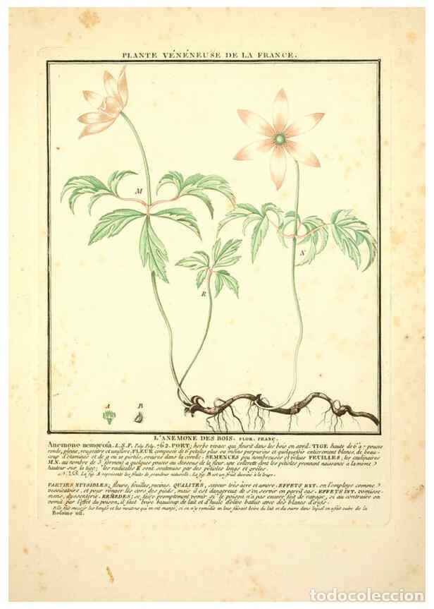 Collectionnisme de Revues et Journaux: Reproducci&oacute;n/Reproduction 6049522245: Herbier de la France. 1-48. Paris,Chez l'auteur, Didot, Debure