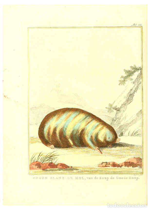 Collection Magazines and Newspapers: Reproducci&oacute;n/Reproduction 6056166305: Natuurkundige beschryving eener uitmuntende verzameling van ze