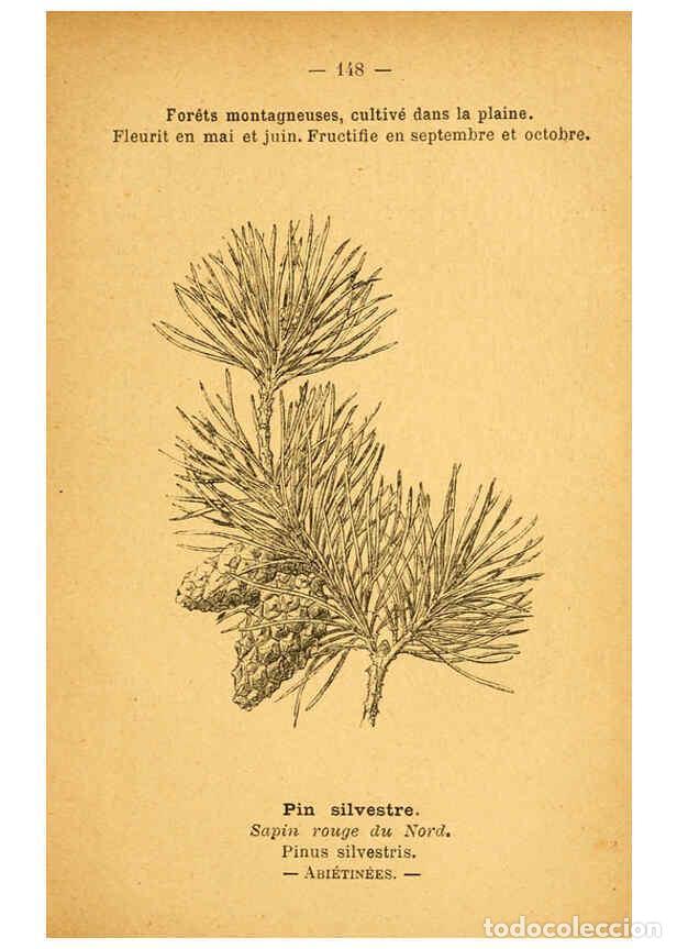 Colecionismo de Revistas e Jornais: Reproducci&oacute;n/Reproduction 6022607496: Atlas de poche des plantes des champs, des prairies et des boi