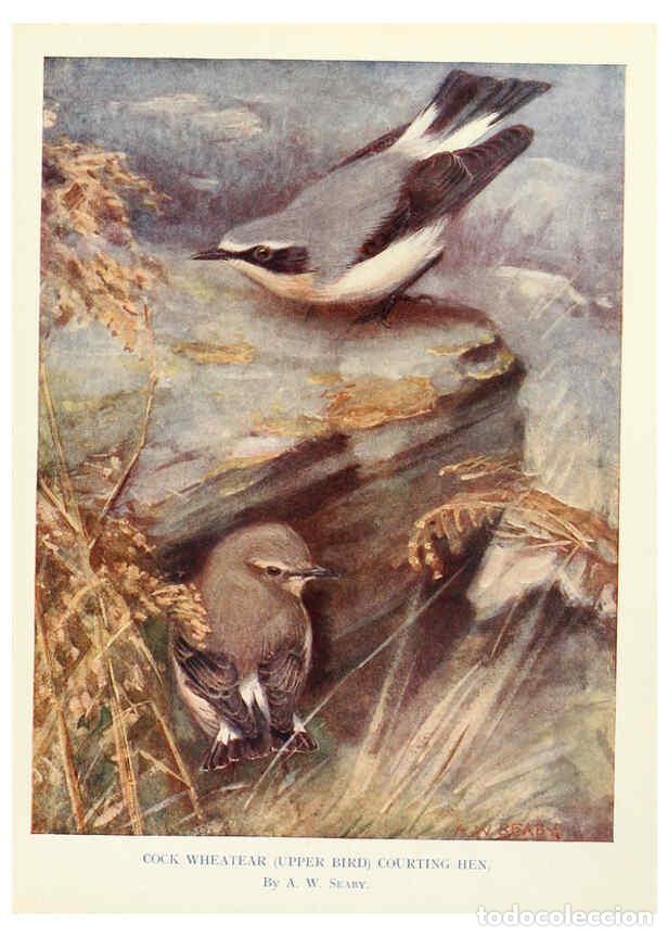 Sammeln von Zeitschriften und Zeitungen: Reproducci&oacute;n/Reproduction 6025485201: Birds through the year London,T.C. and E.C. Jack, ltd.[1922] -