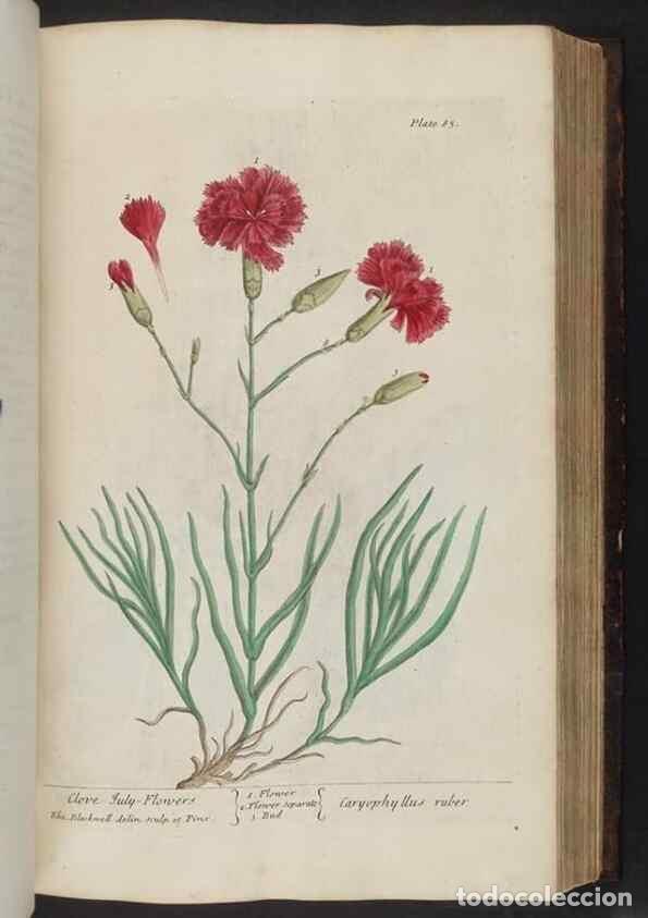 Collectionnisme de Revues et Journaux: Reproducci&oacute;n/Reproduction 8251720031: A curious herbal. London : Printed for Samuel Harding, 1737-17