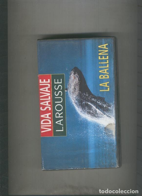 Coleccionismo de Revistas y Peri&oacute;dicos: Video VHS: Vida Salvaje Larousse: La ballena - varios