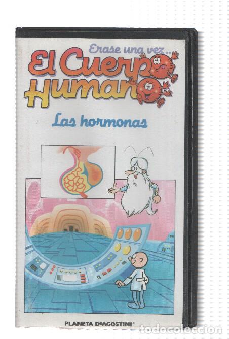 Collezionismo di Riviste e Giornali: Serie VHS: Erase una vez EL CUERPO HUMANO, Numero 25: LAS HORMONAS - Procidis