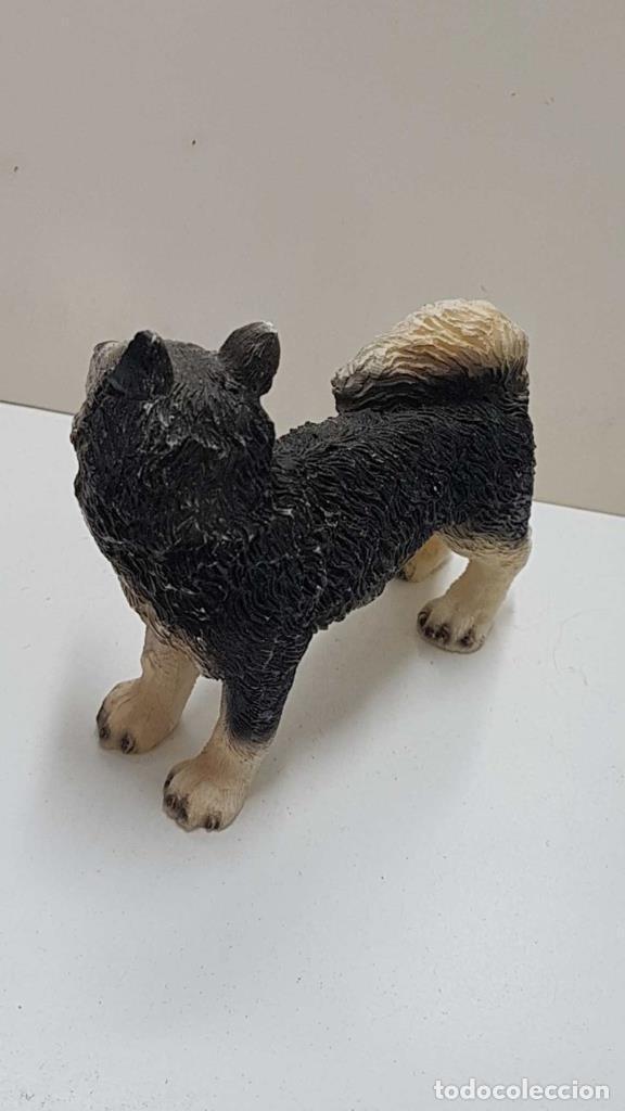Coleccionismo de Revistas y Peri&oacute;dicos: Figura de perro resina: Husky Siberiano de 8x10 cm - NULL