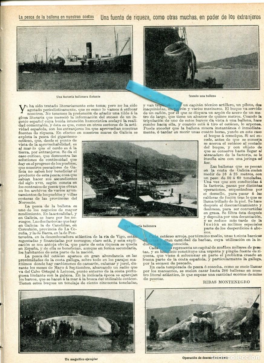 Coleccionismo de Revistas y Peri&oacute;dicos: REVISTA A&Ntilde;O 1926 LA PESCA DE LA BALLENA EN CANELI&Ntilde;AS CORCUBION BARRA LEIXOES GALICIA