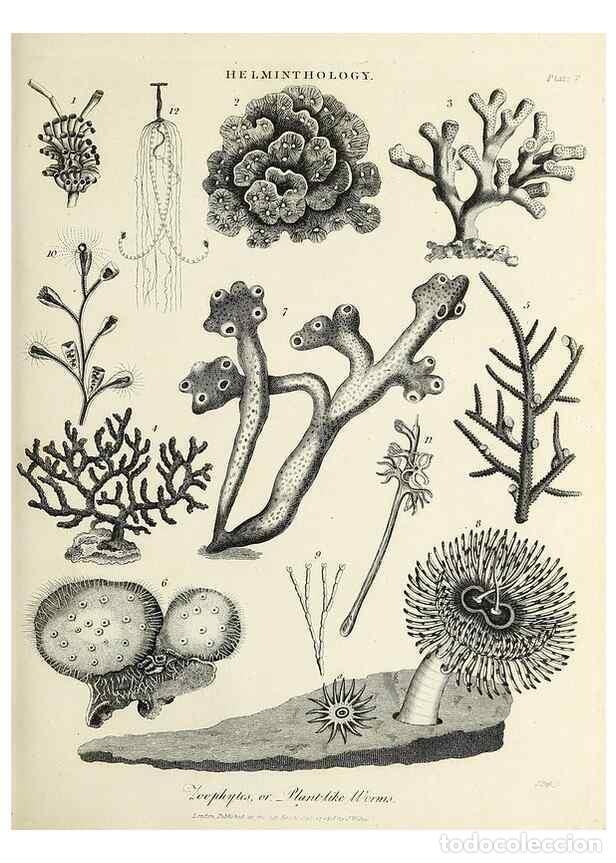 Collectionnisme de Revues et Journaux: Reproducci&oacute;n/Reproduction 49754768637: Encyclopaedia londinensis, or, Universal dictionary of arts,