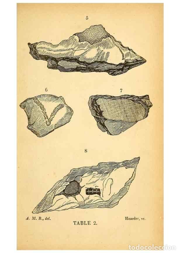 Collectionnisme de Revues et Journaux: Reproducci&oacute;n/Reproduction 49750998562: The natural history of South Devon :. Plymouth,Printed and pu