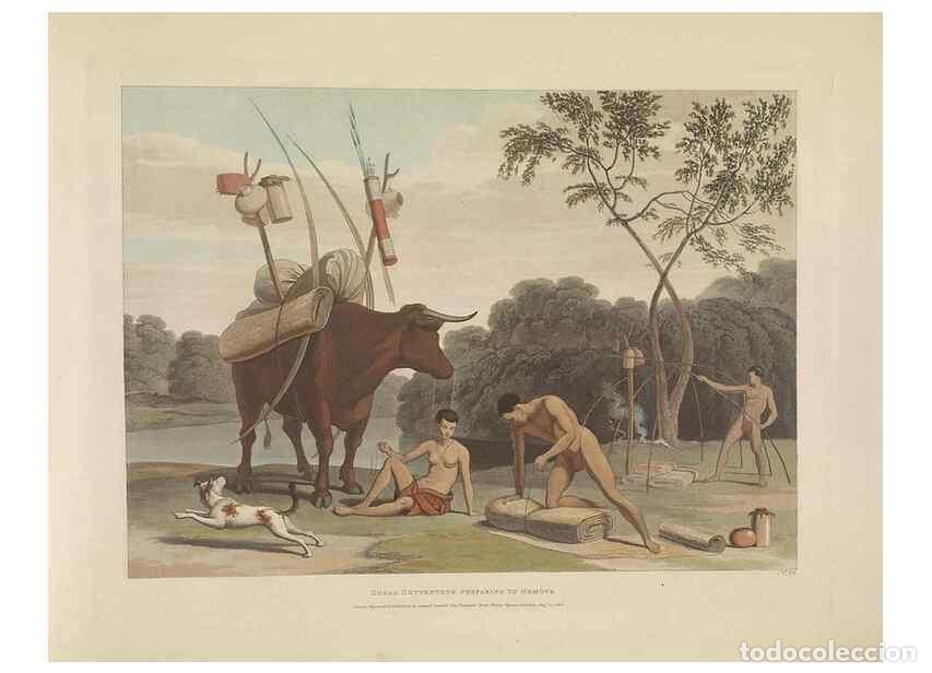 Colecionismo de Revistas e Jornais: Reproducci&oacute;n/Reproduction 49753246331: [African scenery and animals]. London,1804-05. - Daniell, Sam