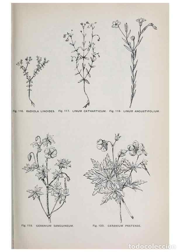 Collectionnisme de Revues et Journaux: Reproducci&oacute;n/Reproduction 49742706978: The flora of the Liverpool district /. Liverpool :D. Marples