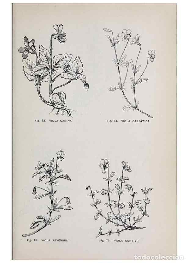Collectionnisme de Revues et Journaux: Reproducci&oacute;n/Reproduction 49743575642: The flora of the Liverpool district /. Liverpool :D. Marples