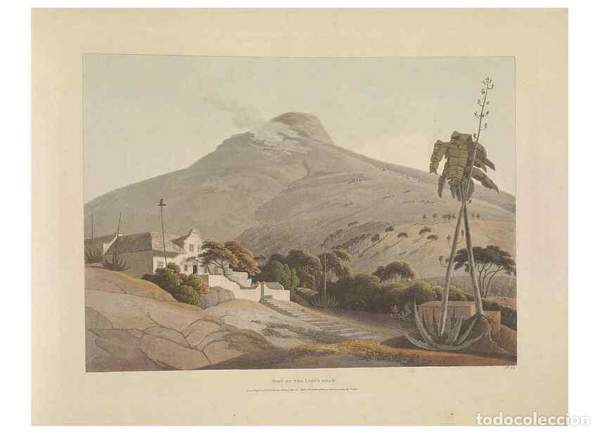 Collezionismo di Riviste e Giornali: Reproducci&oacute;n/Reproduction 49753581012: [African scenery and animals]. London,1804-05. - Daniell, Sam