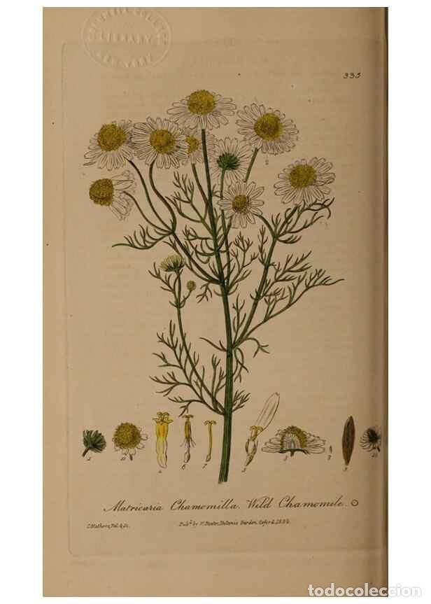 Collectionnisme de Revues et Journaux: Reproducci&oacute;n/Reproduction 49787604583: British phaenogamous botany,. Oxford,Published by the author,