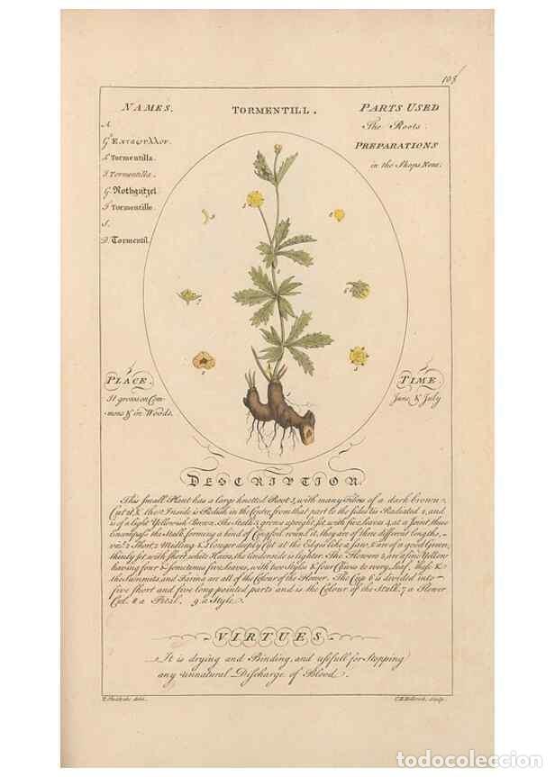 Collection Magazines and Newspapers: Reproducci&oacute;n/Reproduction 49787544568: Botanicum medicinale :. London :Printed for J. Millan, opposi