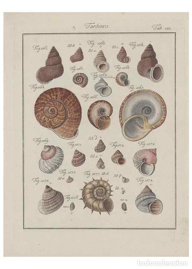 Collectionnisme de Revues et Journaux: Reproducci&oacute;n/Reproduction 49578558853: Abhandlung von den Land = und Flu&szlig;schnecken, oder von solchen