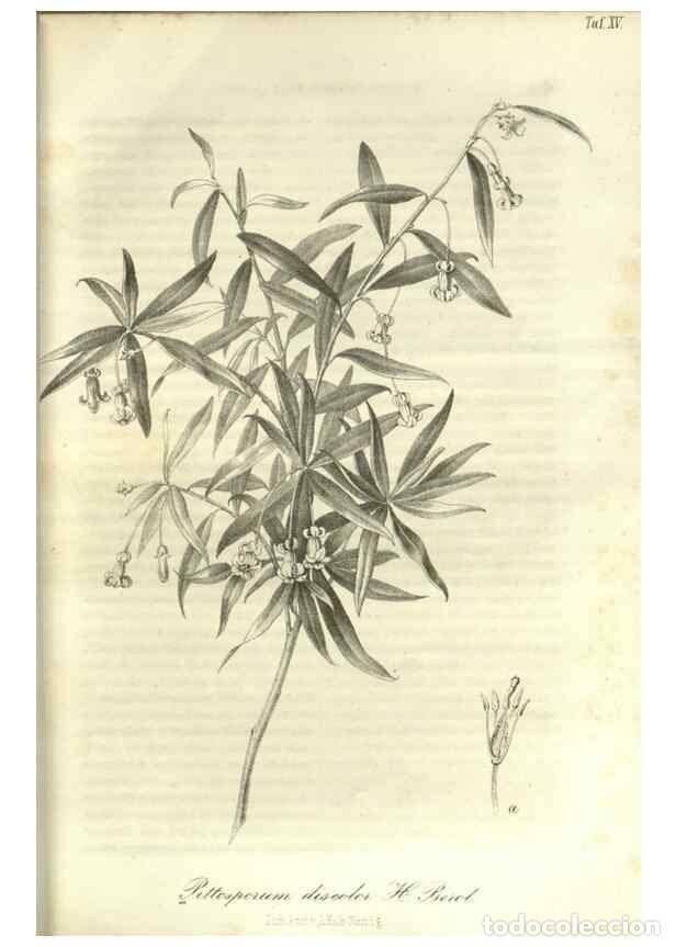 Collection Magazines and Newspapers: Reproducci&oacute;n/Reproduction 49802289758: Gartenflora.. Erlangen :F. Enke,1852-1940.. - Deutsche Garten