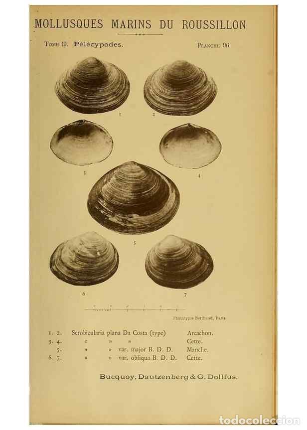 Sammeln von Zeitschriften und Zeitungen: Reproducci&oacute;n/Reproduction 49807291257: Les mollusques marins du Roussillon. Paris :J.-B. Bailli&egrave;re,[