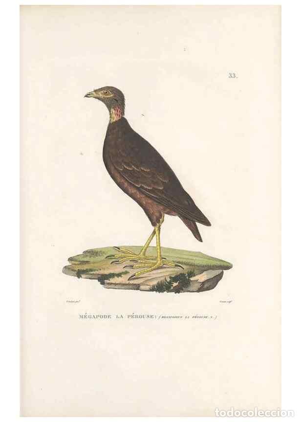 Sammeln von Zeitschriften und Zeitungen: Reproducci&oacute;n/Reproduction 49814201596: Voyage autour du monde, entrepris par ordre du roi.. Paris,Ch