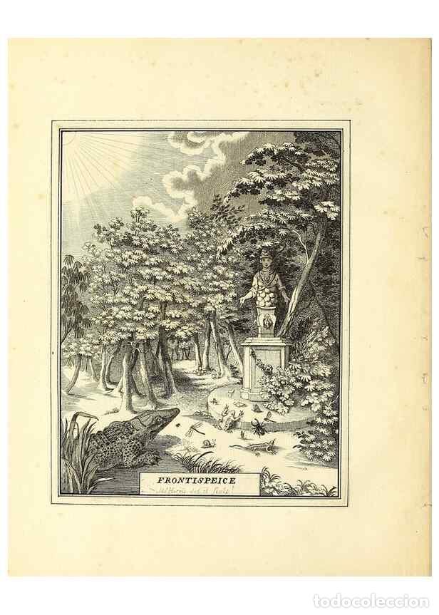 Coleccionismo de Revistas y Peri&oacute;dicos: Reproducci&oacute;n/Reproduction 49807105631: An exposition of English insects. London :Printed for the aut