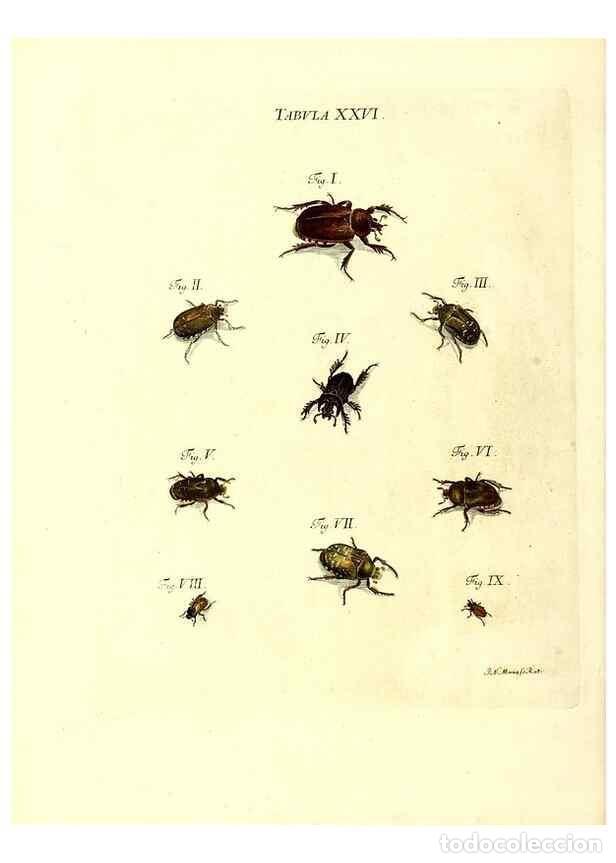 Sammeln von Zeitschriften und Zeitungen: Reproducci&oacute;n/Reproduction 49810293586: Iacobi Christiani Schaefferi s.s. theologiae et philosophiae