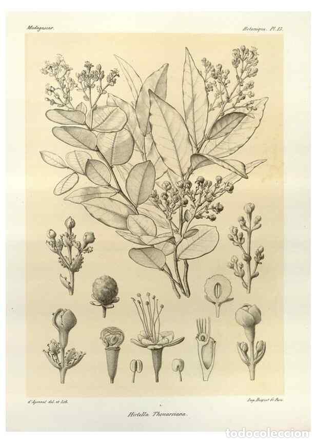 Sammeln von Zeitschriften und Zeitungen: Reproducci&oacute;n/Reproduction 49786152492: Histoire physique, naturelle, et politique de Madagascar. Par