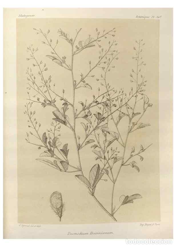 Collectionnisme de Revues et Journaux: Reproducci&oacute;n/Reproduction 49785306003: Histoire physique, naturelle, et politique de Madagascar. Par