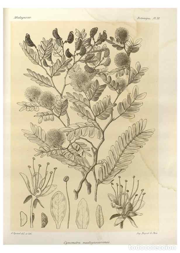 Collectionnisme de Revues et Journaux: Reproducci&oacute;n/Reproduction 49785301638: Histoire physique, naturelle, et politique de Madagascar. Par