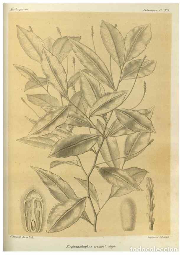 Collectionnisme de Revues et Journaux: Reproducci&oacute;n/Reproduction 49786364057: Histoire physique, naturelle, et politique de Madagascar. Par