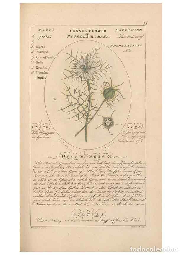 Collectionnisme de Revues et Journaux: Reproducci&oacute;n/Reproduction 49787531078: Botanicum medicinale :. London :Printed for J. Millan, opposi