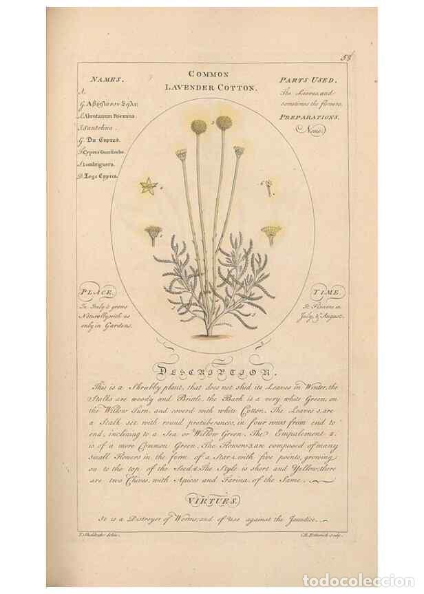 Collectionnisme de Revues et Journaux: Reproducci&oacute;n/Reproduction 49788075541: Botanicum medicinale :. London :Printed for J. Millan, opposi