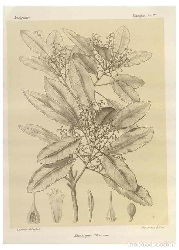 Collectionnisme de Revues et Journaux: Reproducci&oacute;n/Reproduction 49786184227: Histoire physique, naturelle, et politique de Madagascar. Par