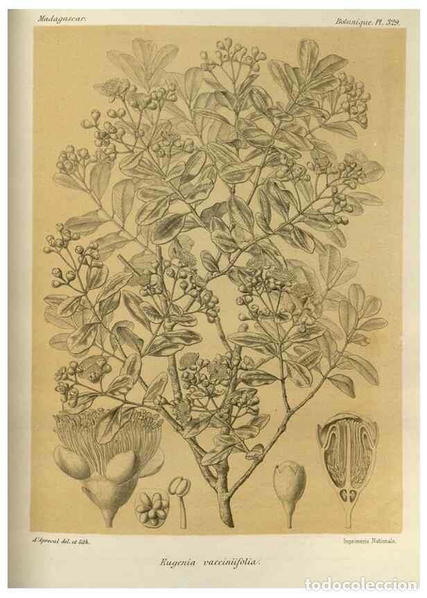 Sammeln von Zeitschriften und Zeitungen: Reproducci&oacute;n/Reproduction 49786369207: Histoire physique, naturelle, et politique de Madagascar. Par