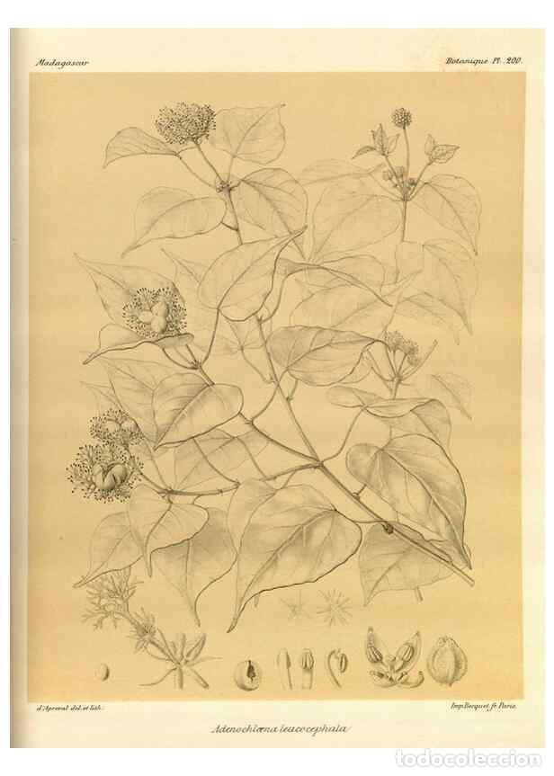 Sammeln von Zeitschriften und Zeitungen: Reproducci&oacute;n/Reproduction 49785920836: Histoire physique, naturelle, et politique de Madagascar. Par