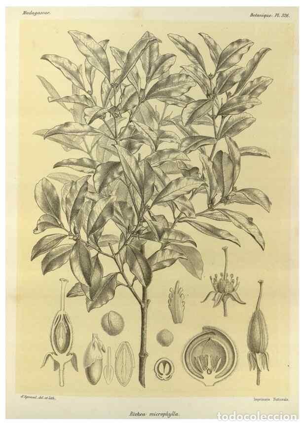 Sammeln von Zeitschriften und Zeitungen: Reproducci&oacute;n/Reproduction 49786048711: Histoire physique, naturelle, et politique de Madagascar. Par