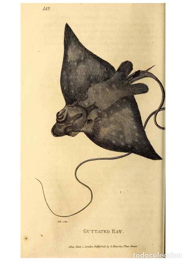 Sammeln von Zeitschriften und Zeitungen: Reproducci&oacute;n/Reproduction 49827062301: General zoology, or Systematic natural history. London,Printe