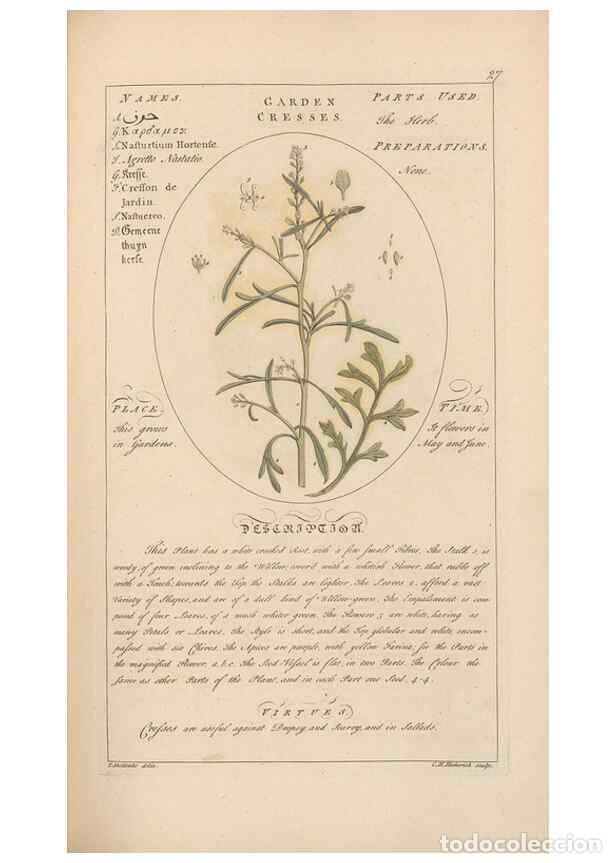 Collection Magazines and Newspapers: Reproducci&oacute;n/Reproduction 49787528763: Botanicum medicinale :. London :Printed for J. Millan, opposi