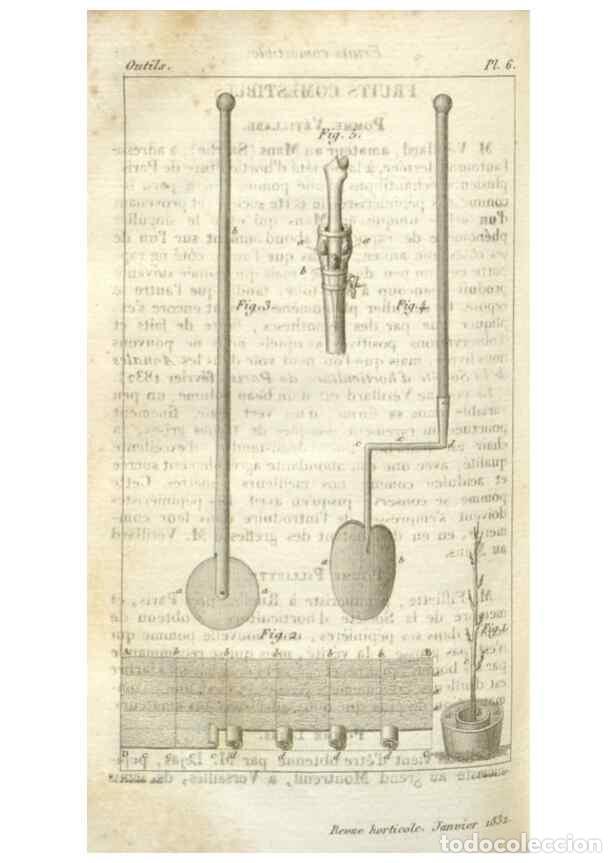 Collezionismo di Riviste e Giornali: Reproducci&oacute;n/Reproduction 49643839262: Revue horticole.. Paris :Librairie agricole de la maison rust