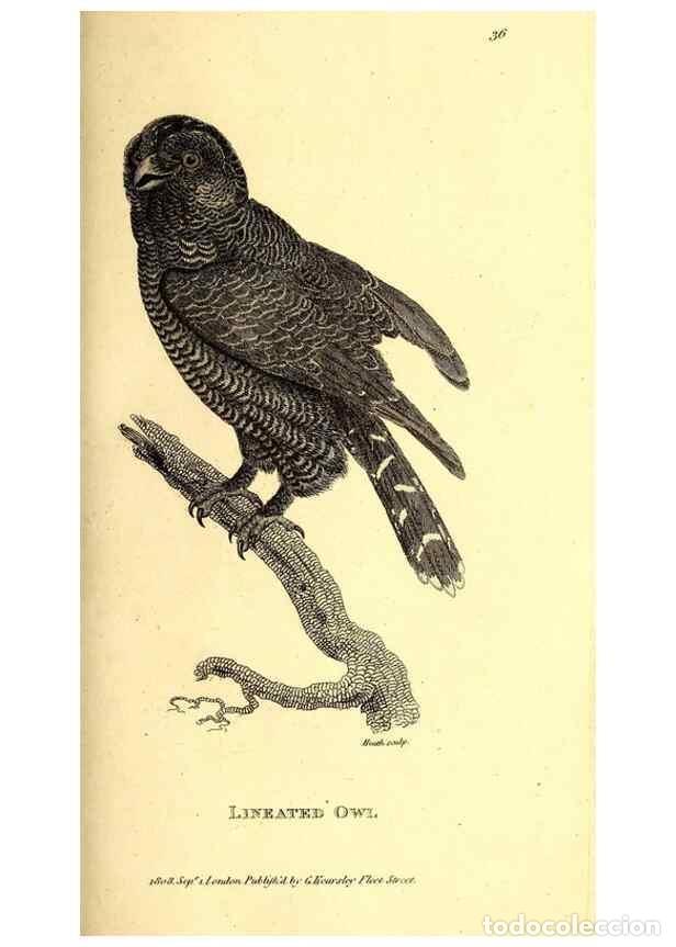 Colecionismo de Revistas e Jornais: Reproducci&oacute;n/Reproduction 49830066191: General zoology, or Systematic natural history. London,Printe