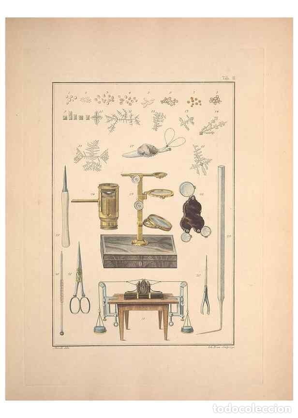 Collezionismo di Riviste e Giornali: Reproducci&oacute;n/Reproduction 49830295058: Testacea utriusque Siciliae eorumque historia et anatome :. P