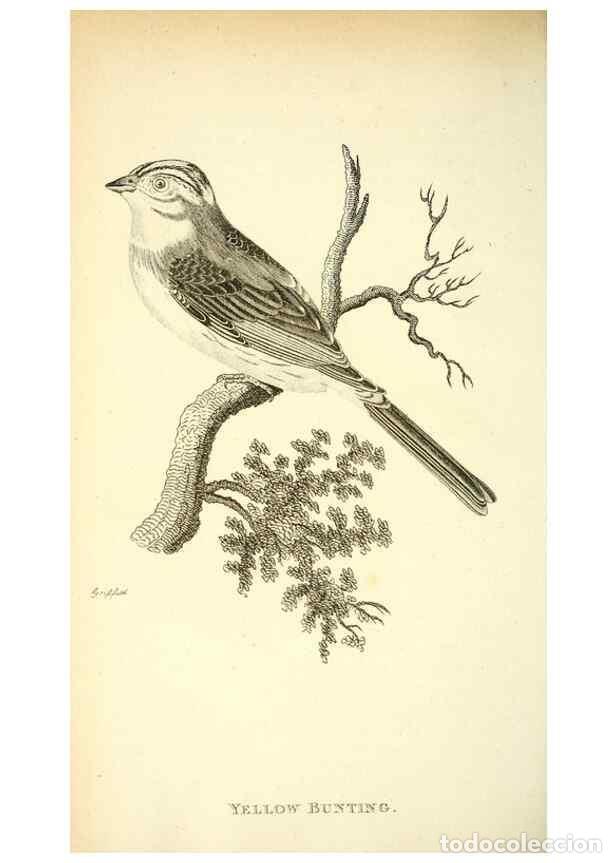 Collection Magazines and Newspapers: Reproducci&oacute;n/Reproduction 49830254738: General zoology, or Systematic natural history. London,Printe