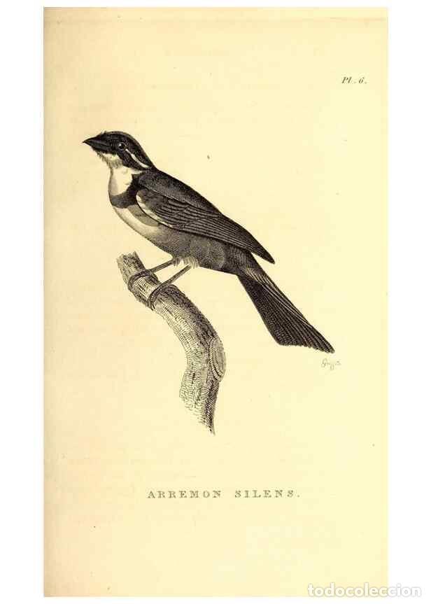 Collectionnisme de Revues et Journaux: Reproducci&oacute;n/Reproduction 49831125611: General zoology, or Systematic natural history. London,Printe