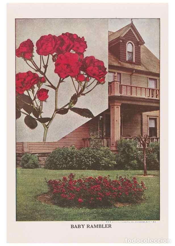 Collection Magazines and Newspapers: Reproducci&oacute;n/Reproduction 49831518677: Descriptive plate-book. Newark, N.Y. :Knight & Bostwick,[19--