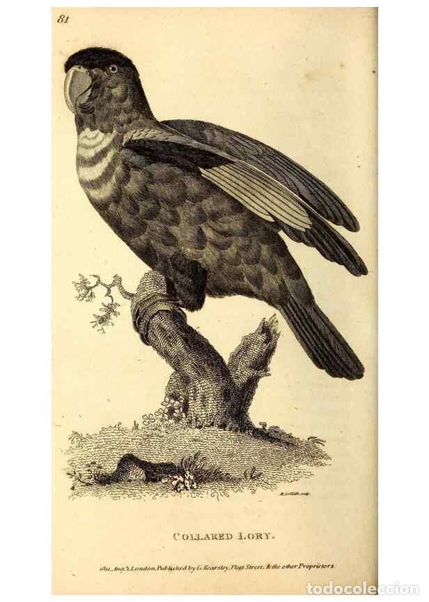 Collection Magazines and Newspapers: Reproducci&oacute;n/Reproduction 49829661263: General zoology, or Systematic natural history. London,Printe