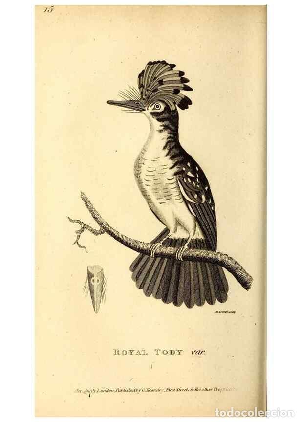 Sammeln von Zeitschriften und Zeitungen: Reproducci&oacute;n/Reproduction 49830166721: General zoology, or Systematic natural history. London,Printe