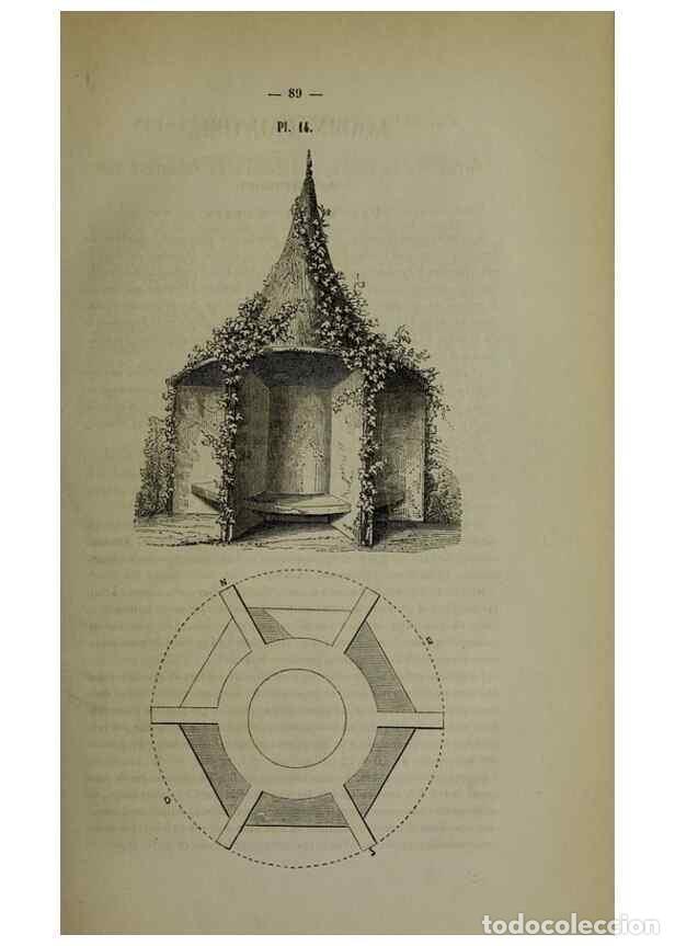 Coleccionismo de Revistas y Peri&oacute;dicos: Reproducci&oacute;n/Reproduction 49264684588: Belgique horticole.. Li&eacute;ge.. - Morren, Charles,