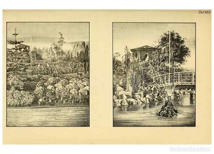 Coleccionismo de Revistas y Peri&oacute;dicos: Reproducci&oacute;n/Reproduction 49698101643: Gartenflora.. Erlangen :F. Enke,1852-1940.. - Deutsche Garten