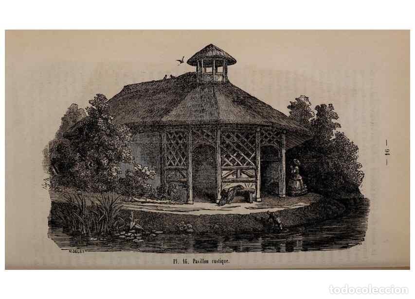 Collection Magazines and Newspapers: Reproducci&oacute;n/Reproduction 49264750091: Belgique horticole.. Li&eacute;ge.. - Morren, Charles,