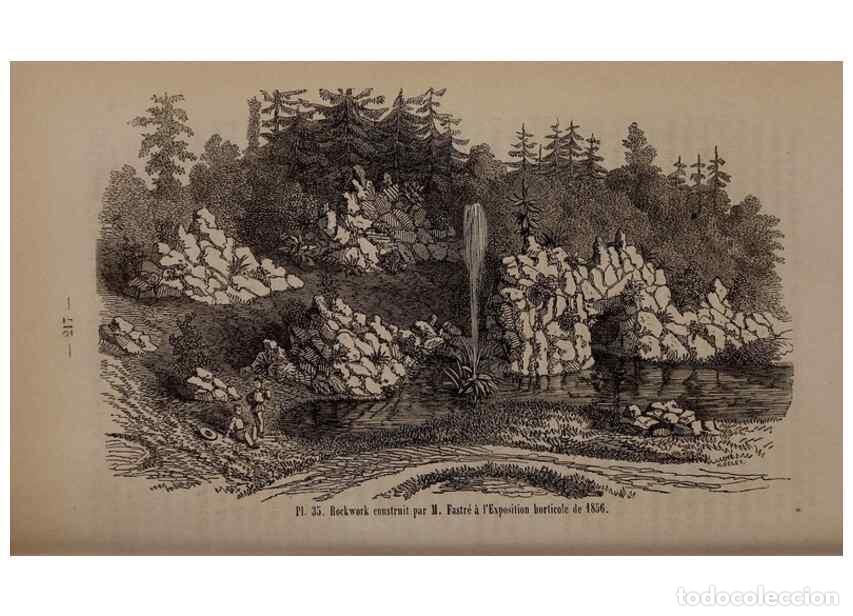 Colecionismo de Revistas e Jornais: Reproducci&oacute;n/Reproduction 49264292268: Belgique horticole.. Li&eacute;ge.. - Morren, Charles,