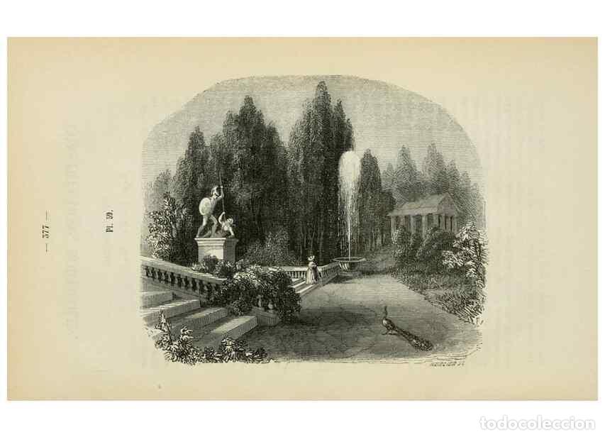 Colecionismo de Revistas e Jornais: Reproducci&oacute;n/Reproduction 49268807436: Belgique horticole.. Li&eacute;ge.. - Morren, Charles,