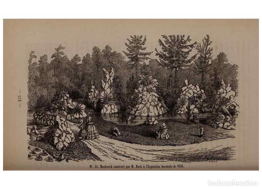 Collezionismo di Riviste e Giornali: Reproducci&oacute;n/Reproduction 49264291828: Belgique horticole.. Li&eacute;ge.. - Morren, Charles,